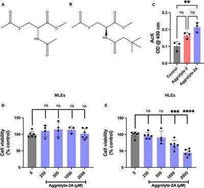 Topical ocular application of aggrelyte-2A reduces lens stiffness in mice